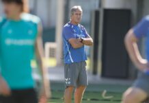 Pellegrini: “Yo no puedo ir a la directiva a renovar mi contrato”